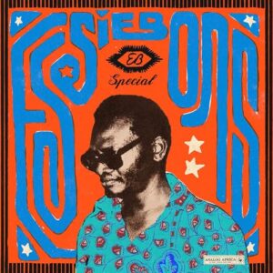 ESSIEBONS SPECIAL 1973 - 1984 / GHANA MUSIC POWER HOUSE (DL CARD) - Various Artists (CDs)