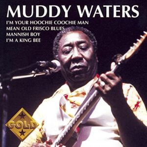 Muddy Waters - Waters, Muddy (CDs)