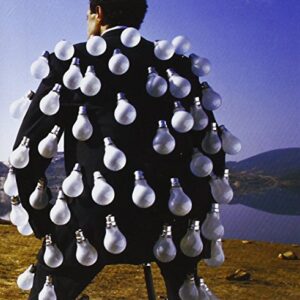 Pink Floyd - Delicate Sound of Thunder - Pink Floyd (CDs)