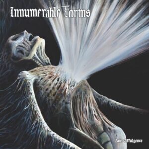 Pain Effulgence - Innumerable Forms (CDs)