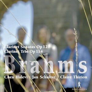 BRAHMS: CLARINET SONATAS OP. 120 & CLARINET TRIO OP. 114 - Jan Schultsz (CDs)