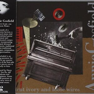 Burnt Ivory & Loose Wires - Gosfield, Annie (CDs)