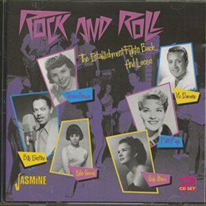 Rock N Roll: Establishment Fights Back / Various - Various Artists (CDs)