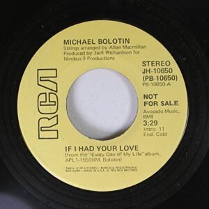 Michael Bolotin (S/T) - Michael Bolotin (Discos de Vinil)
