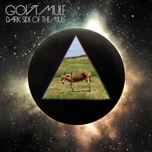 Dark Side of the Mule (Deluxe Edition) - Gov't Mule (CDs)