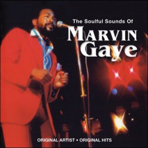 Soulful Sounds of Marvin Gaye (CDs)