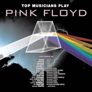 Top Musicians Play Pink Floyd - Various Artists (CDs)