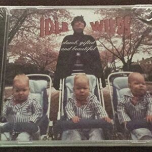 Dumb Gifted & Beautiful - Idle Wilds (CDs)