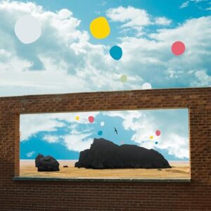 First Of The Birds - Admiral Fallow (CDs)