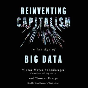 Reinventing Capitalism in the Age of Big Data - Mayer-Schönberger, Viktor (CDs)