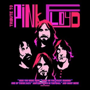 Tribute To Pink Floyd - VARIOUS ARTISTS (CDs)