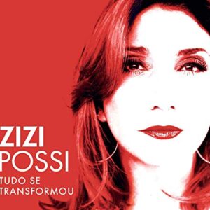 Zizi Possi - Tudo Se Transformou - ZIZI POSSI (CDs)
