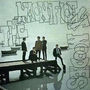 Magnificent Moodies - Moody Blues (CDs)