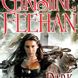Dark Slayer - Feehan, Christine (CDs)