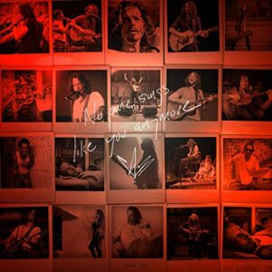 Chris Cornell: No One Sings Like You Anymore [CD]