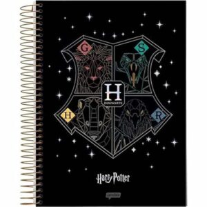 CADERNO ESPIRAL UNIV CD 1X1 80FLS HARRY POTTER PREMIUM (CDs)
