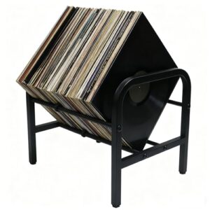 8OOKUAIO Rack de armazenamento de discos de vinil – Suporte de metal resistente para LP de 30,5 cm (capacidade de 1 a 100) - Organizador para álbuns, livros, revistas, arquivos (rack de armazenamento (Equipamentos)