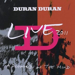Diamond in the Mind (CDs)