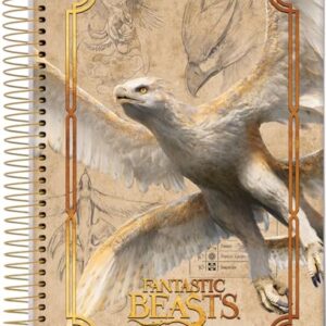 Caderno Espiral Univ CD 10 Matérias 160 Fls Animais Fantasticos Thunderbird FSC - Jandaia (CDs)
