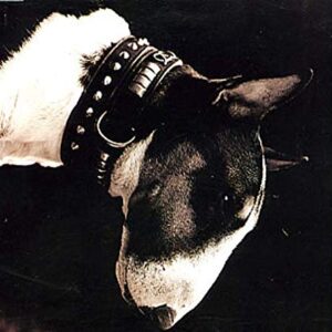 Here Comes Your Man - The Pixies (CDs)