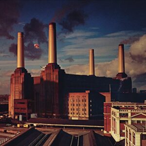 Animals (CDs)