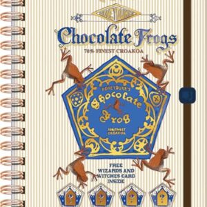 JandaIA - Caderno Neo com Pauta Inteligente 1/4 CD 80Fls Reposicionáveis - Harry Potter (CDs)