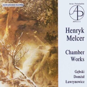 Kammermusik Mit Violine - Warsaw Trio, The (CDs)