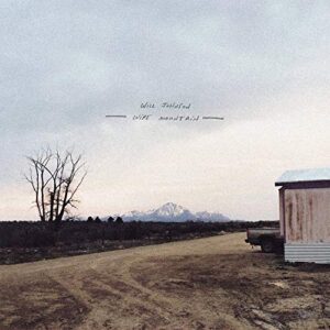 Wire Mountain (CDs)