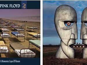 The Division Bell / A Momentary Lapse of Reason CD - Pink Floyd (CDs)