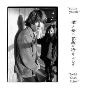 ホールド・ザット・タイガー - SONIC YOUTH ソニック・ユース (CDs)