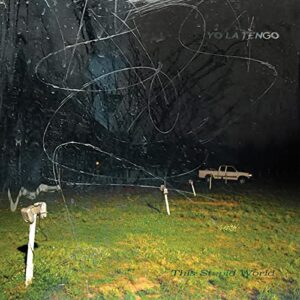 This Stupid World - Yo La Tengo (CDs)