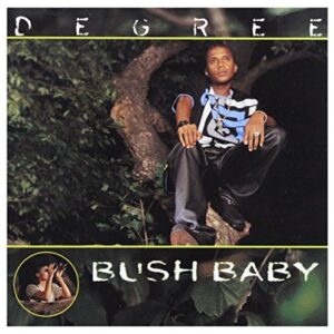 Bush Baby (CDs)