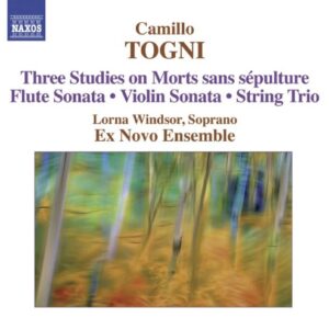 Three Studies on Mort Sans Sepulture / Flute - Camillo Togni (CDs)