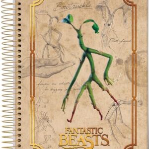 Caderno Espiral Univ CD 10 Matérias 160 Fls Animais Fantasticos Bowtruckle FSC - Jandaia (CDs)