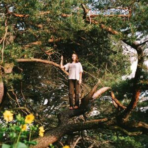 Melt The Honey - PACKS (CDs)