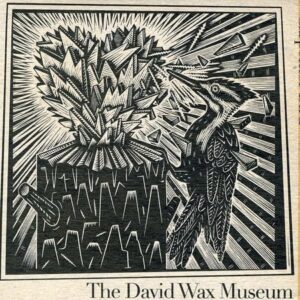 Carpenter Bird - David Wax Museum (CDs)
