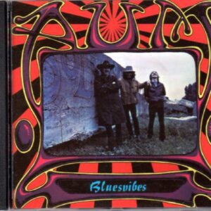 Bluesvibes (CDs)