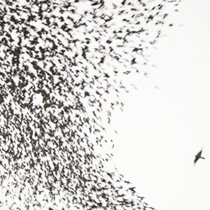 Sky Blue Sky - Wilco (CDs)