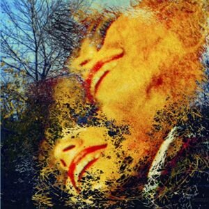 SEE THOSE COLOURS FLY (CDs)