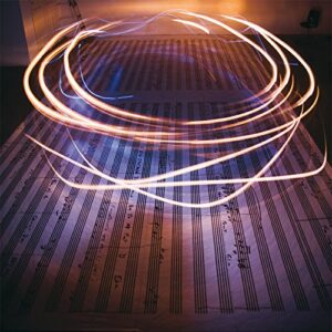 Roncycle1-The Journey of a Melody [Disco de Vinil] (Discos de Vinil)