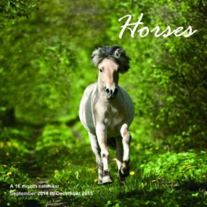 Horses Calendar - 2015 Wall calendars - Animal Calendar - Monthly Wall Calendar by Magnum - MegaCalendars (CDs)