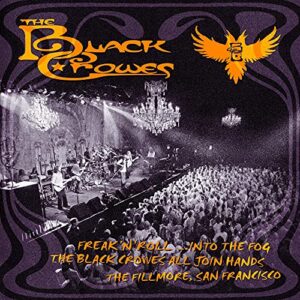 Into the Fog - The Black Crowes (CDs)