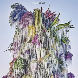 Cousin - Wilco (CDs)
