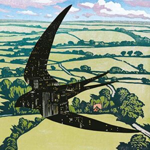 Sleep On The Wing - BIBIO (CDs)
