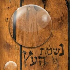 Tree Spirit - Ben Danzig & Matty Danzig (CDs)