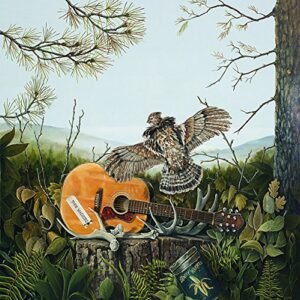 This Machine - DANDY WARHOLS (CDs)