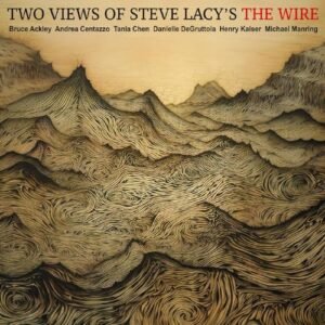 TWO VIEWS OF STEVE LACYS THE WIRE (CDs)
