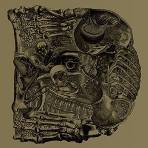 Dear - BORIS (CDs)