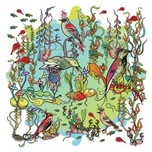 O'O - John Zorn (CDs)