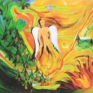 Tone - Jeff Ament (CDs)